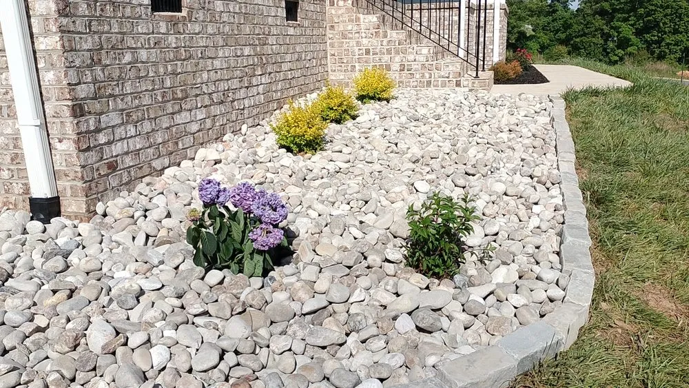 Professional yard cleanup service in Winston Salem, NC - Hernandez Landscaping