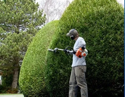Professional yard maintenance experts serving Riverside, CA - Hernandez Landscpaing Services