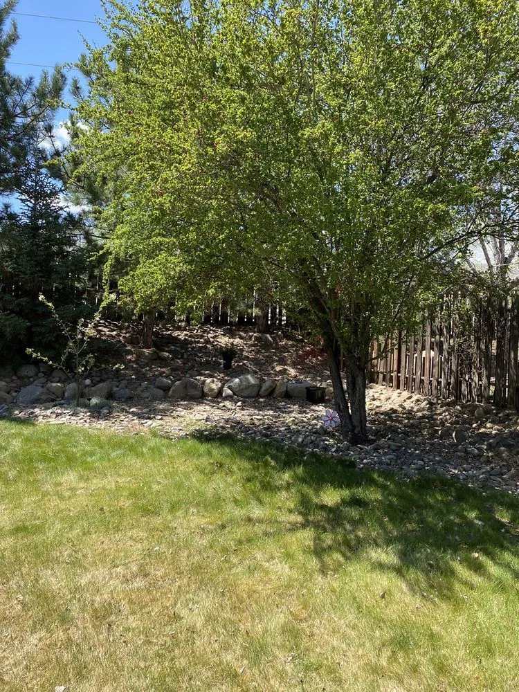 Trusted yard maintenance in Sparks, NV by Hernandez Lawn & Landscaping