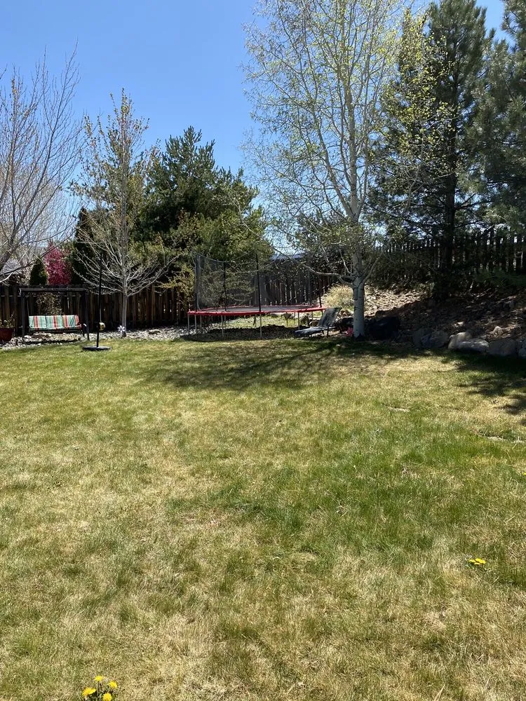 Professional residential landscaping experts serving Sparks, NV - Hernandez Lawn & Landscaping
