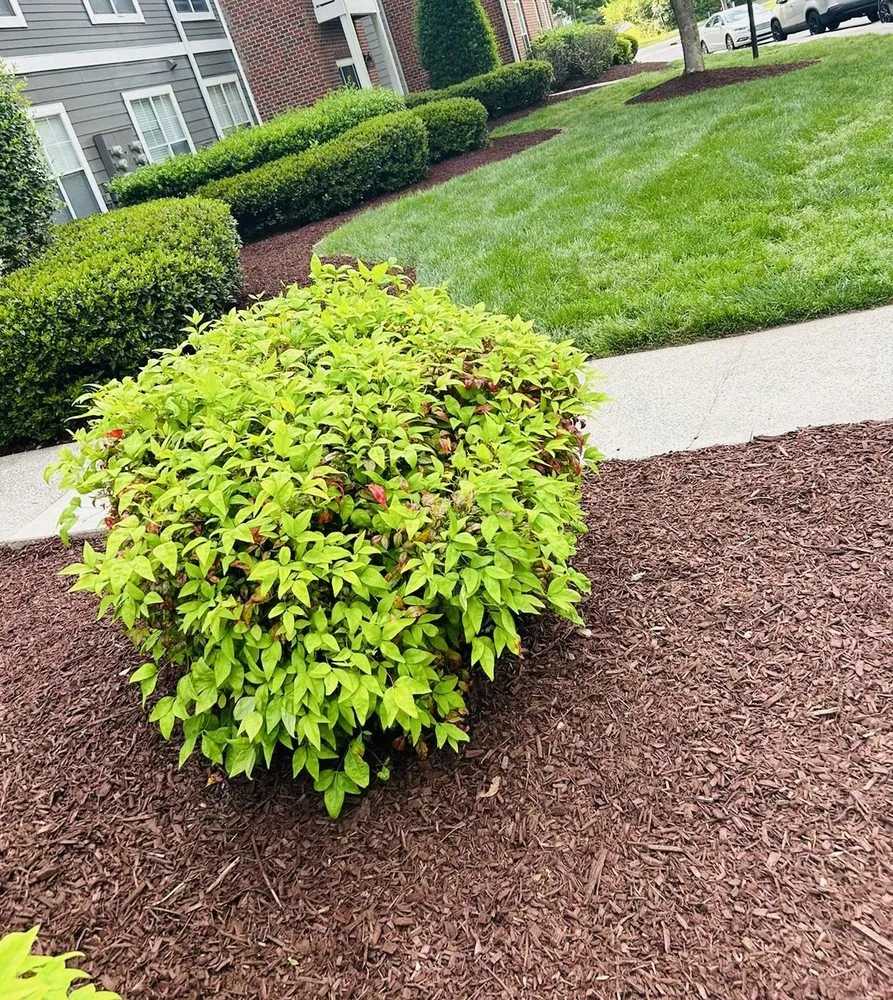 Trusted garden landscaping experts serving Zebulon, NC - Hernandez Lawn & Landscaping