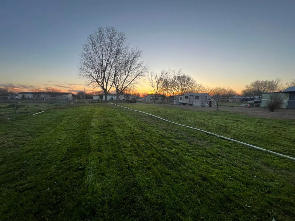 Reliable landscaping services with custom design in Seguin, TX by Hernandez Lawn and More