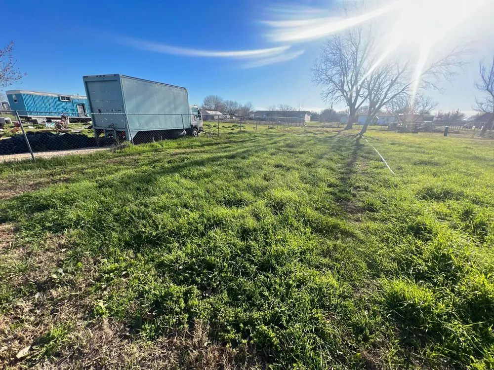 Affordable lawn care service for year-round maintenance in Seguin, TX by Hernandez Lawn and More