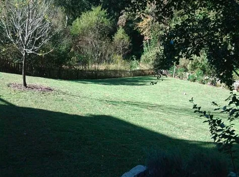 Trusted residential landscaping in Raleigh, NC by Hernandez Lawn Care & Maintenance