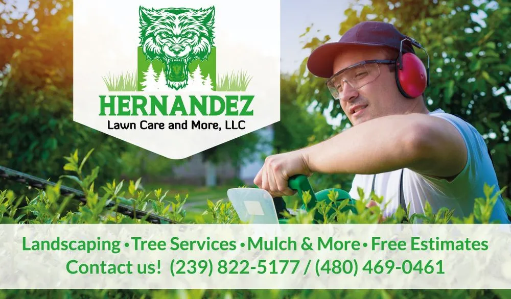 Affordable landscape design experts serving Cape Coral, FL - Hernandez Lawn Care and More
