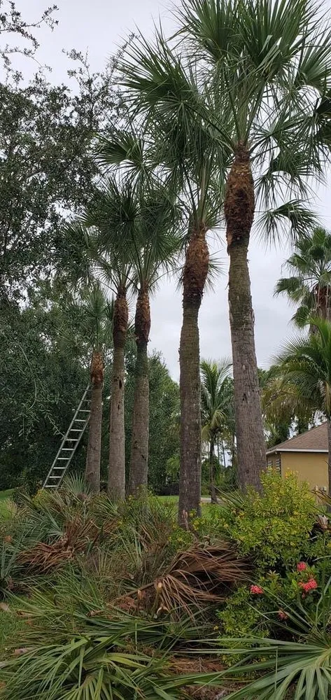 Expert yard maintenance for residential properties in Cape Coral, FL by Hernandez Lawn Care and More