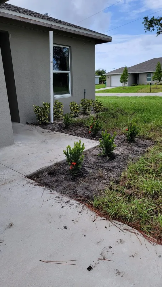Expert yard maintenance experts serving Cape Coral, FL - Hernandez Lawn Care and More