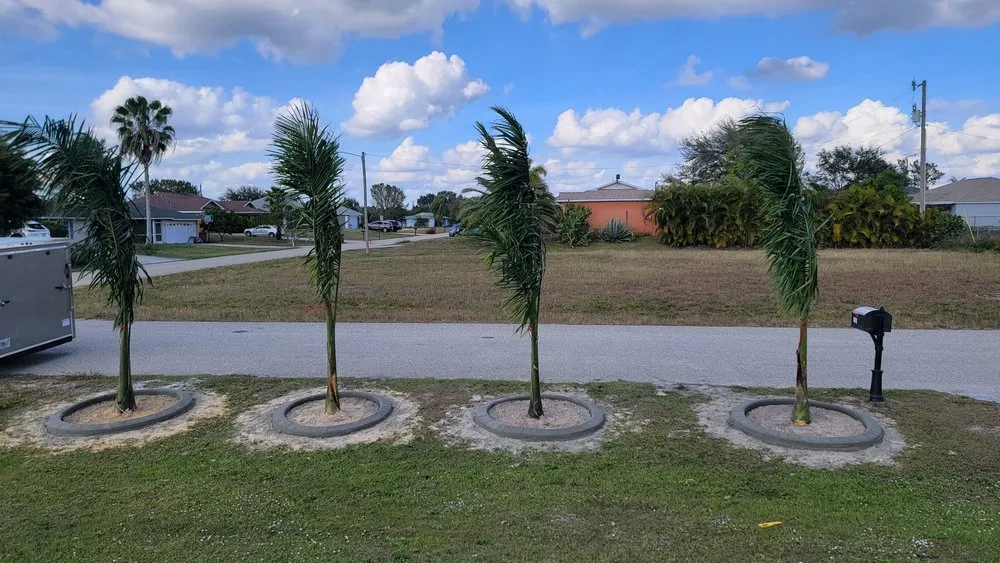 Expert residential landscaping in Cape Coral, FL - Hernandez Lawn Care and More