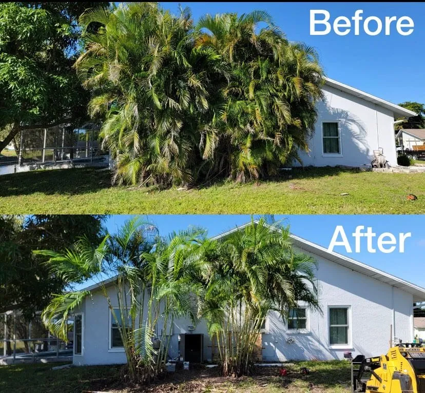 Trusted yard maintenance for residential properties in Cape Coral, FL by Hernandez Lawn Care and More