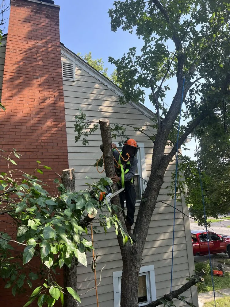 Top-rated yard cleanup service experts serving Chicago, IL - Hernandez Lawn care