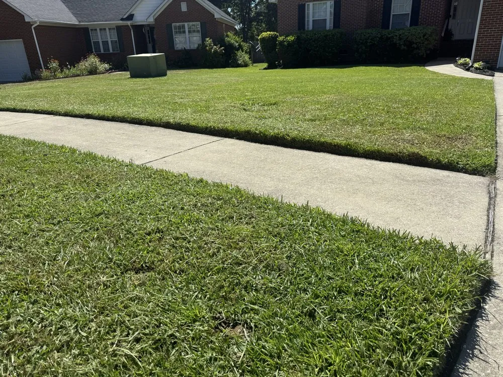 Custom yard cleanup service experts serving Columbia, SC - Hernandez Lawn Care
