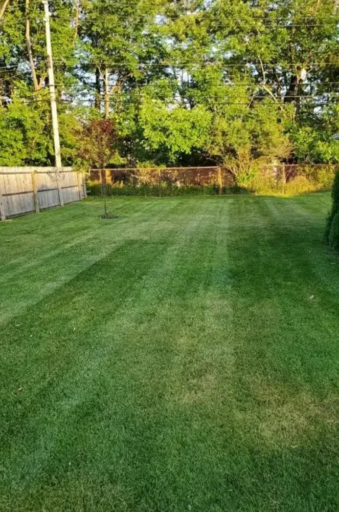 Top-rated landscape installation for year-round maintenance across Columbia, SC - Hernandez Lawn Care