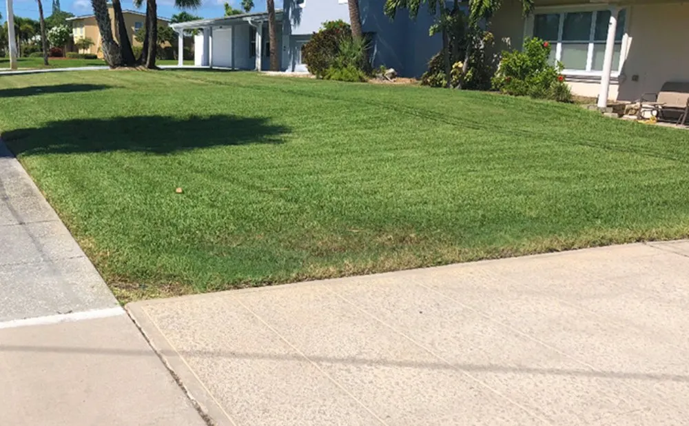 Expert lawn mowing service in Columbia, SC by Hernandez Lawn Care