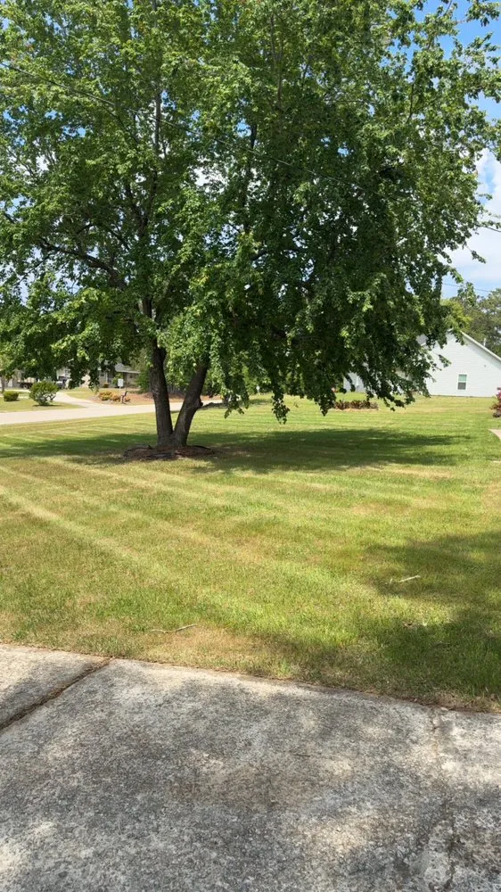 Local yard cleanup service for residential properties in Columbia, SC by Hernandez Lawn Care