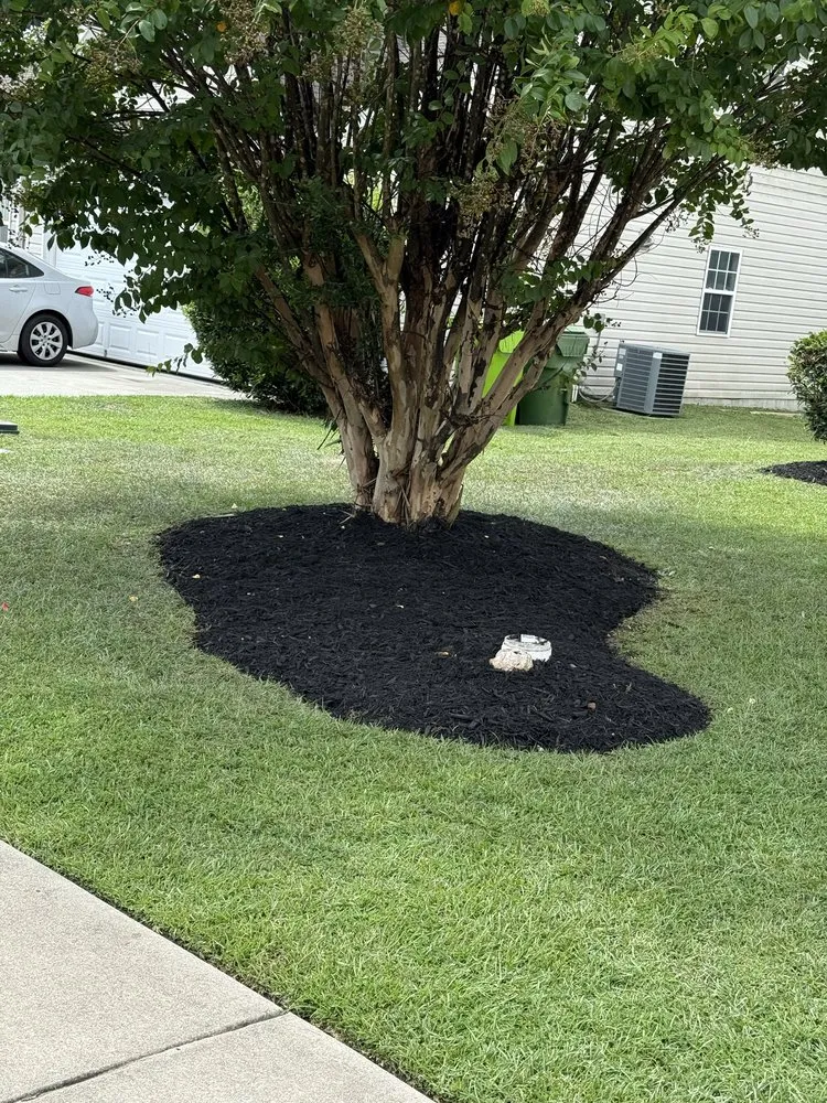 Reliable garden landscaping with custom design in Columbia, SC by Hernandez Lawn Care