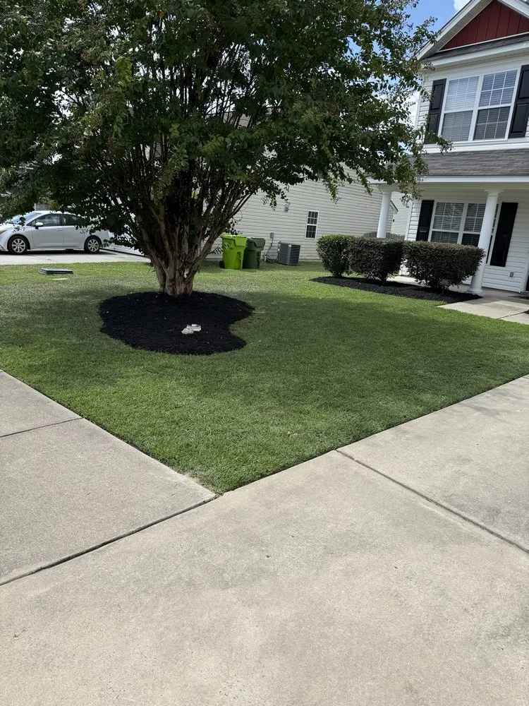 Top-rated yard cleanup service in Columbia, SC - Hernandez Lawn Care