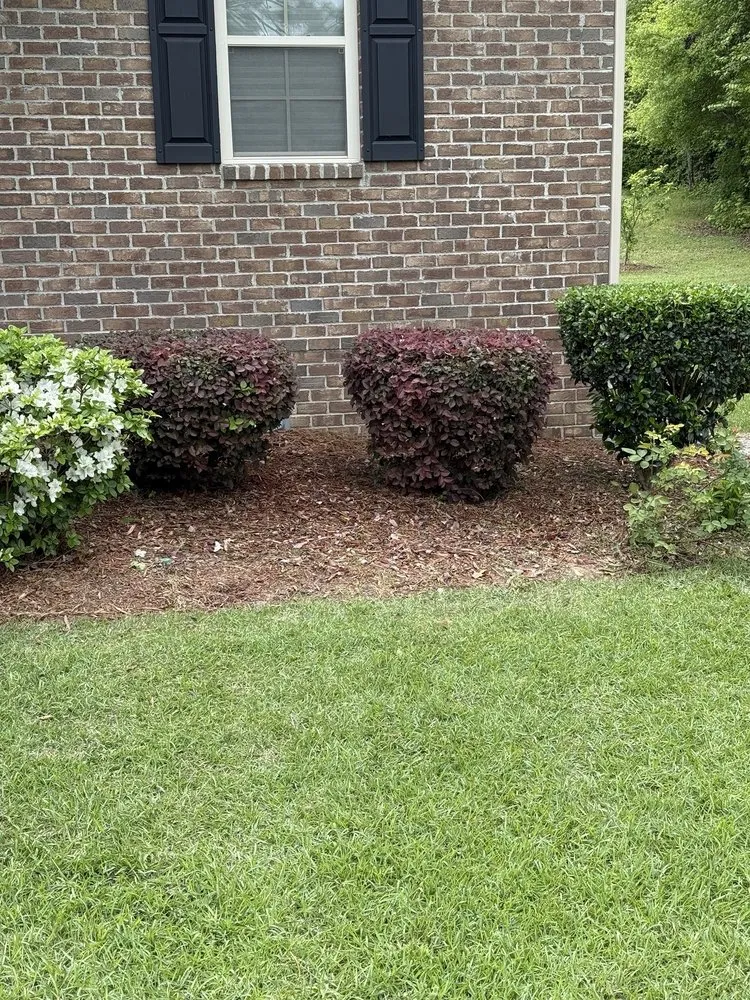 Reliable yard cleanup service for outdoor upgrades across Columbia, SC - Hernandez Lawn Care