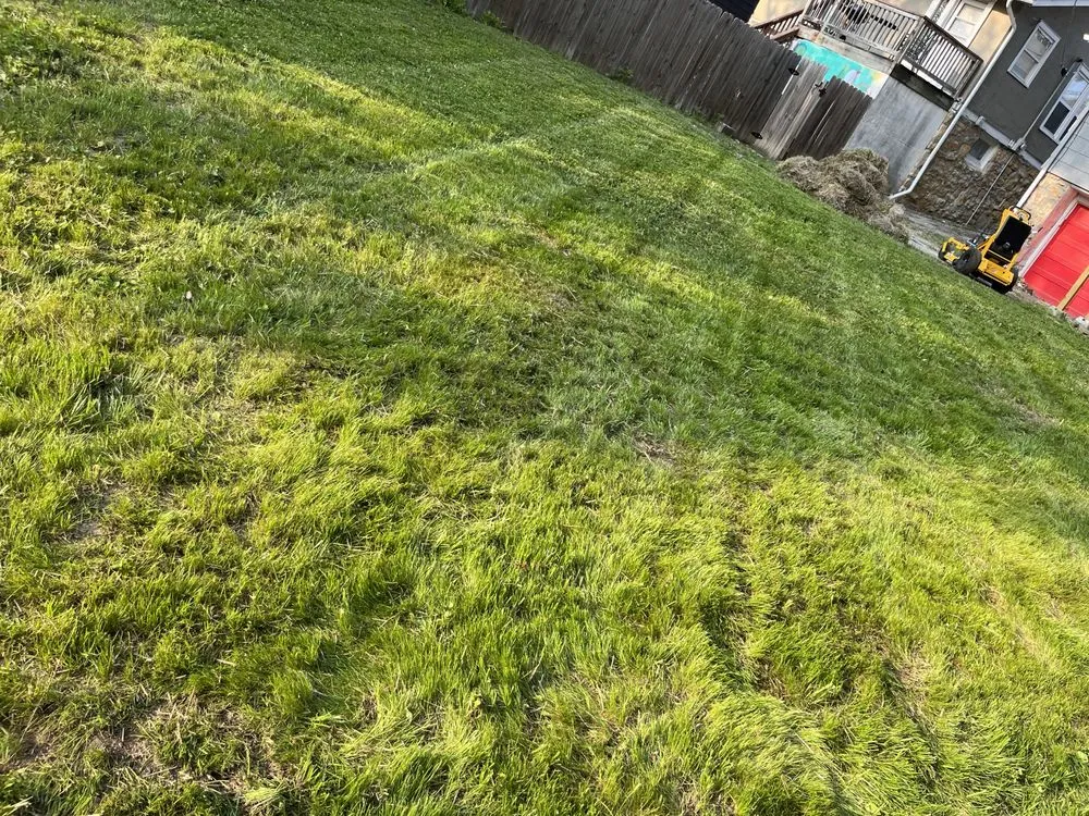 Top-rated landscaping services for beautiful yards across Edwardsville, KS - Hernandez Lawn Care