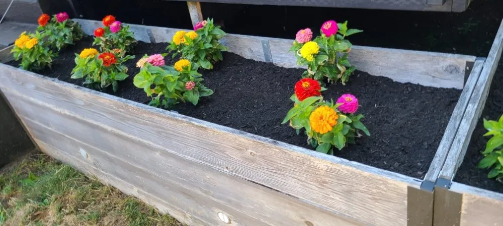 Trusted lawn care service near you across Graham, WA - Hernandez Lawn Care