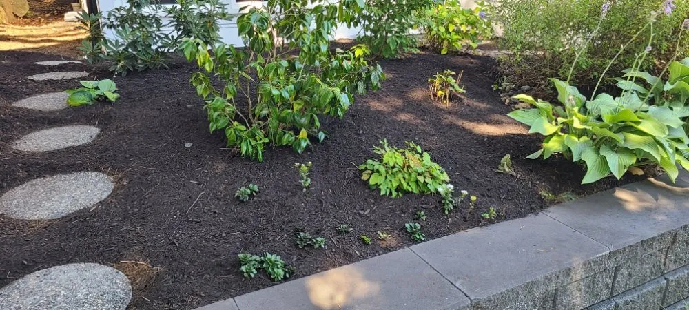 Reliable residential landscaping for beautiful yards in Graham, WA by Hernandez Lawn Care