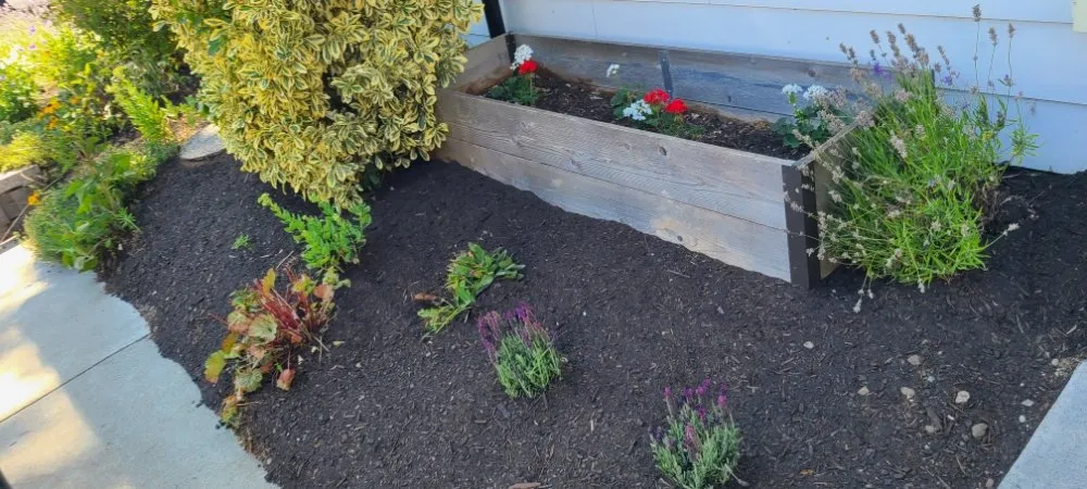 Local landscape design for residential properties across Graham, WA - Hernandez Lawn Care