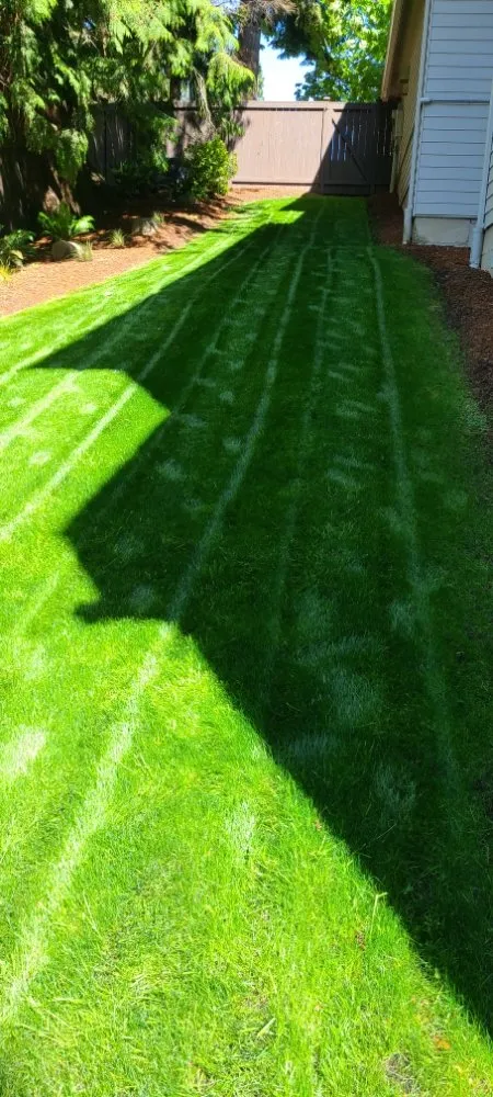 Trusted residential landscaping experts serving Graham, WA - Hernandez Lawn Care