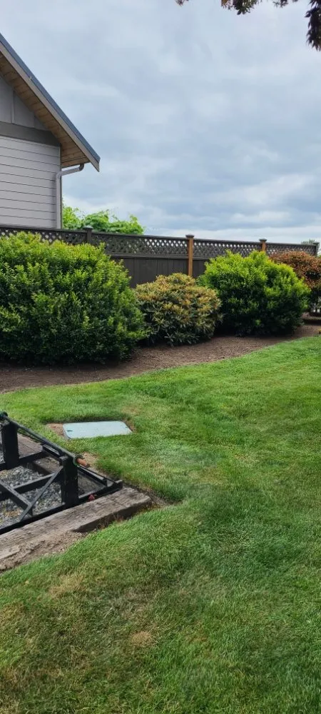 Trusted landscape installation for year-round maintenance across Graham, WA - Hernandez Lawn Care