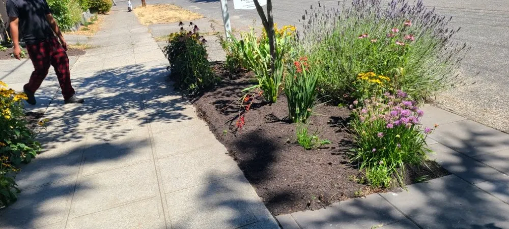 Custom landscape installation in Graham, WA by Hernandez Lawn Care