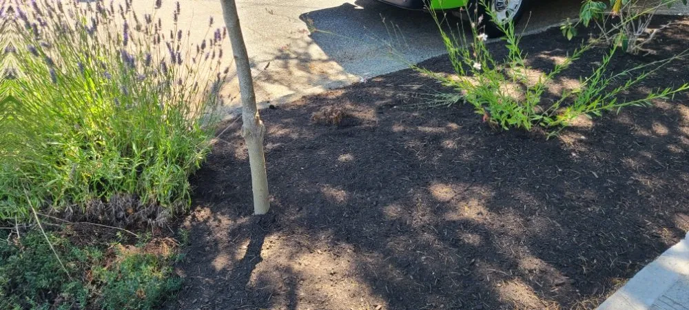 Local garden landscaping for residential properties in Graham, WA by Hernandez Lawn Care