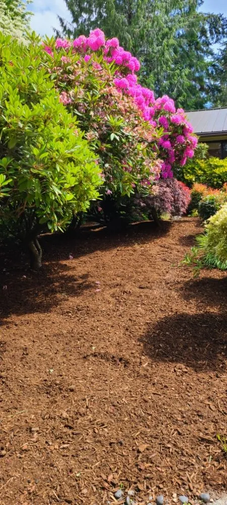 Custom yard maintenance experts serving Graham, WA - Hernandez Lawn Care