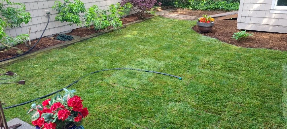 Reliable yard cleanup service in Graham, WA by Hernandez Lawn Care