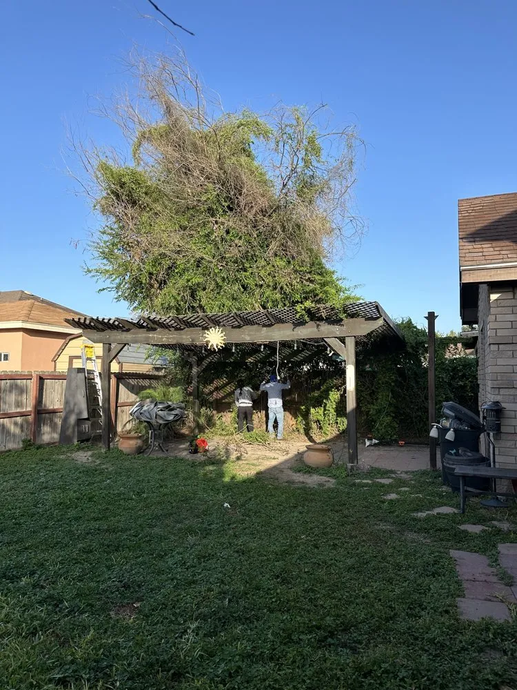 Professional landscape design with custom design in McAllen, TX by Hernandez Lawn Care