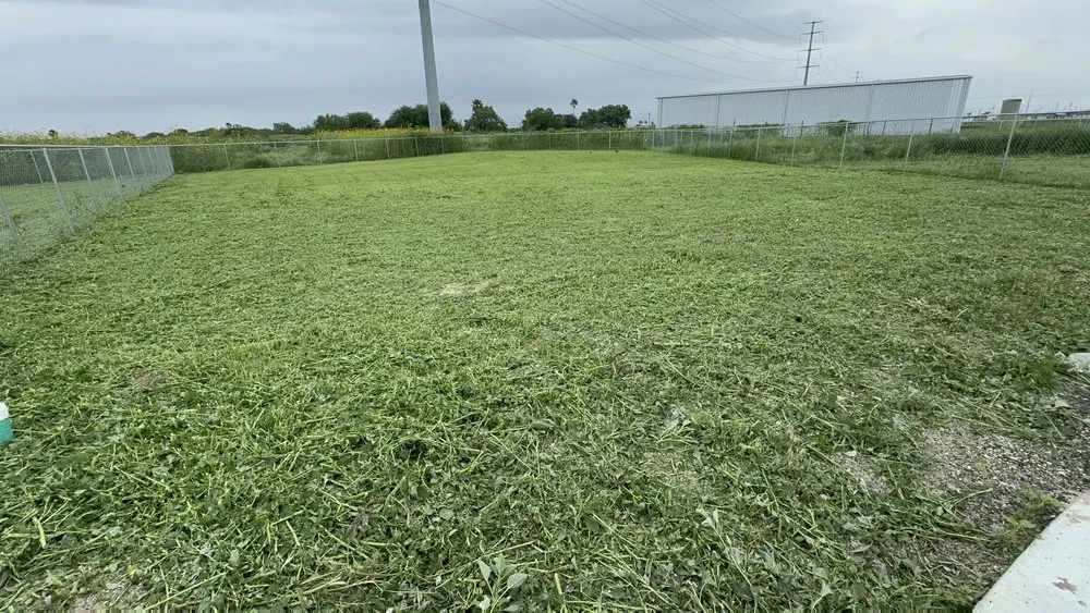 Expert landscape installation in McAllen, TX by Hernandez Lawn Care