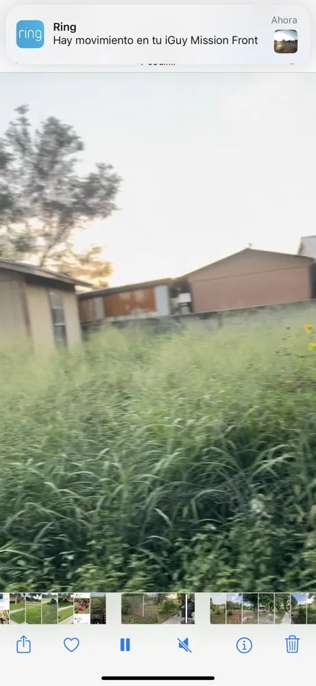 Reliable outdoor landscaping experts serving McAllen, TX - Hernandez Lawn Care