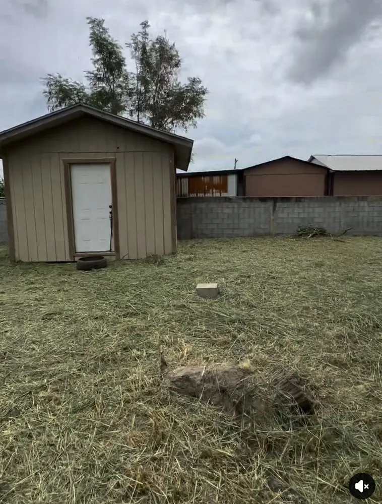 Affordable yard maintenance for residential properties in McAllen, TX by Hernandez Lawn Care