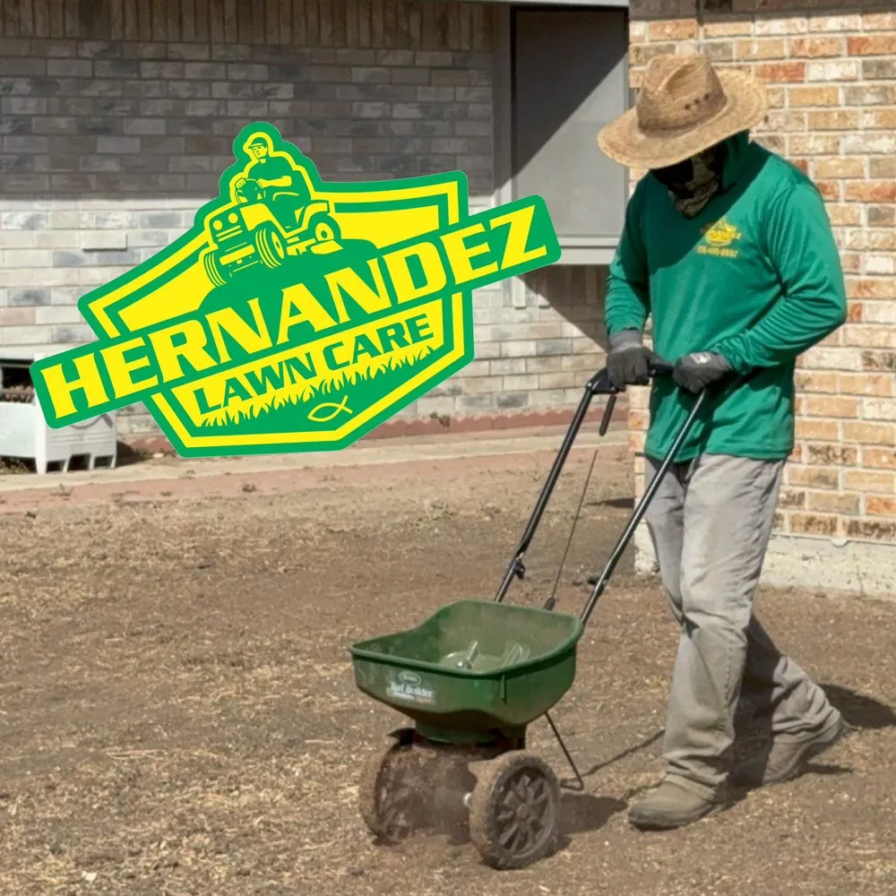 Affordable landscape design for year-round maintenance across McAllen, TX - Hernandez Lawn Care
