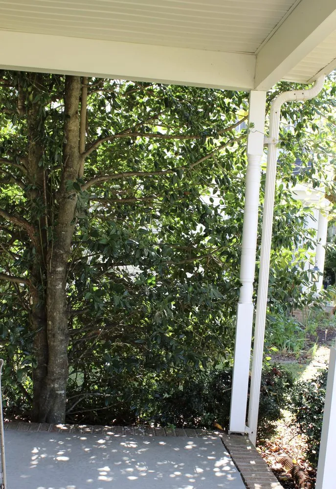 Affordable yard maintenance for year-round maintenance across Princess Anne, MD - Hernandez Lawn Care