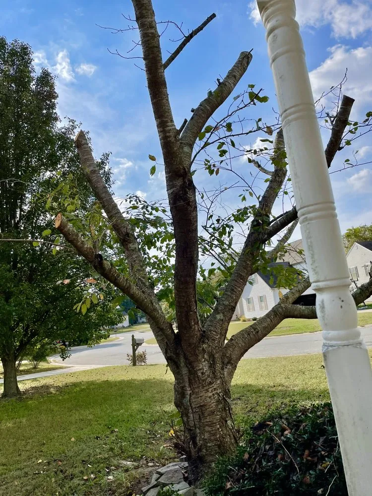 Affordable lawn mowing service experts serving Princess Anne, MD - Hernandez Lawn Care