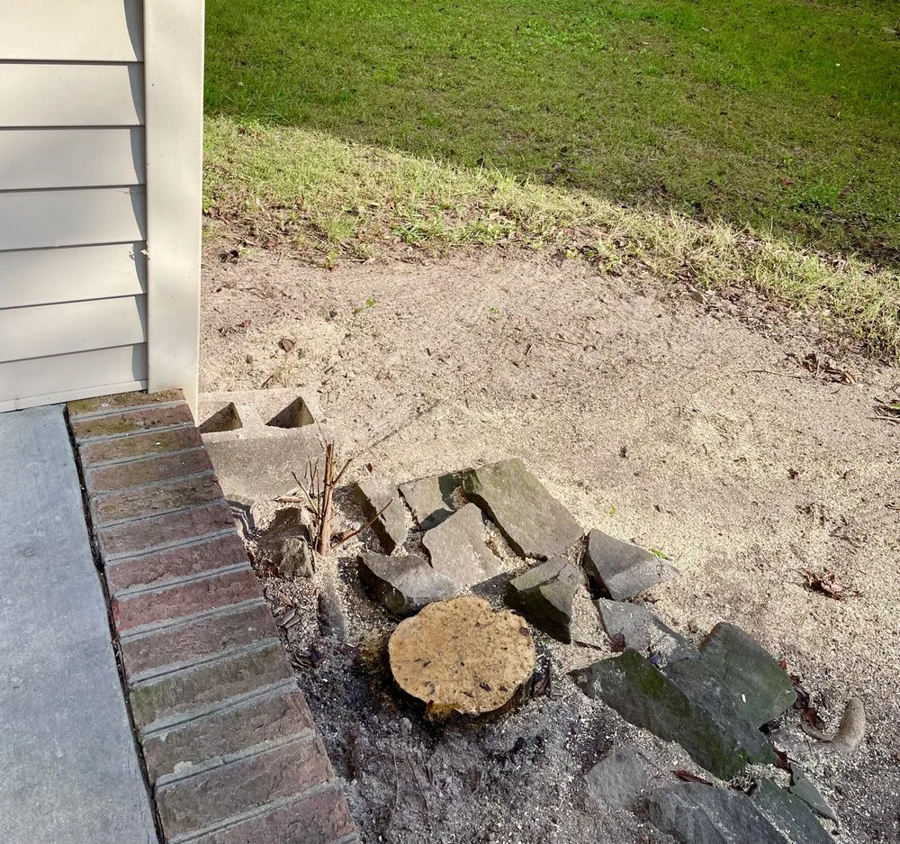 Affordable landscape design for outdoor upgrades in Princess Anne, MD by Hernandez Lawn Care