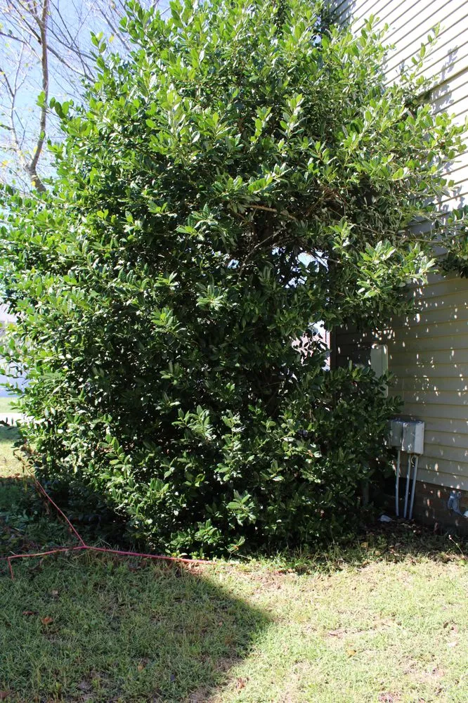 Reliable landscape design experts serving Princess Anne, MD - Hernandez Lawn Care