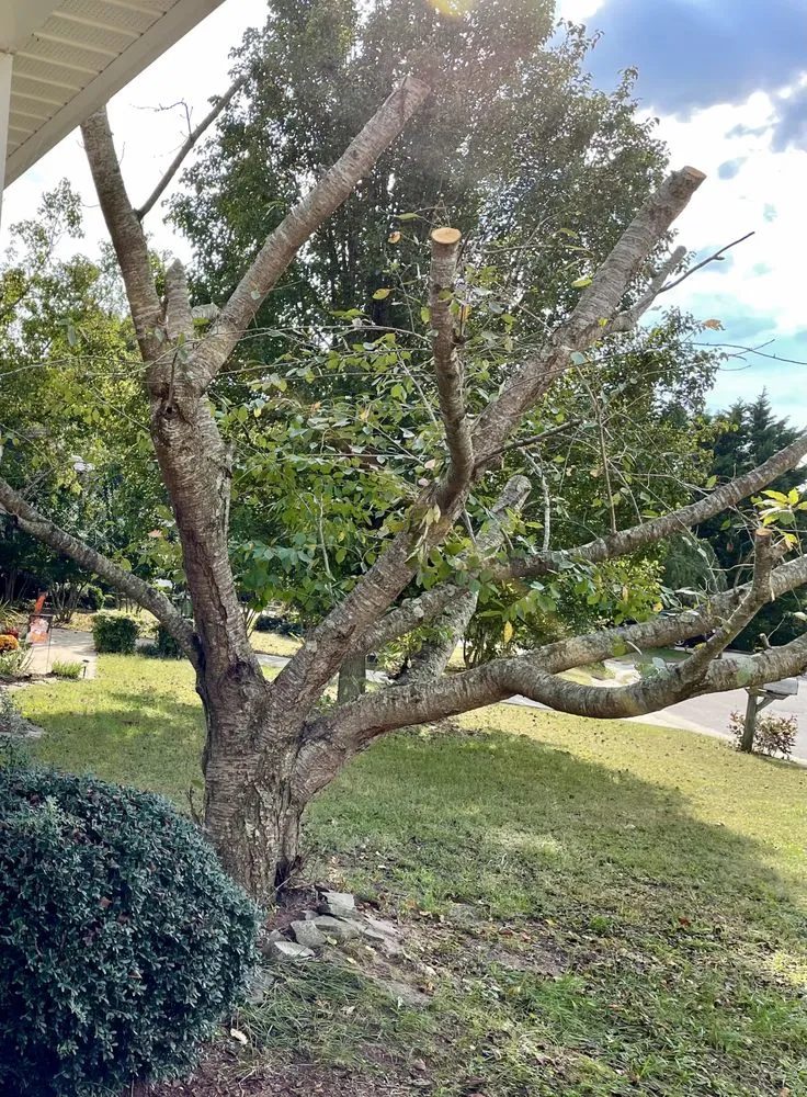 Custom landscaping services for residential properties in Princess Anne, MD by Hernandez Lawn Care