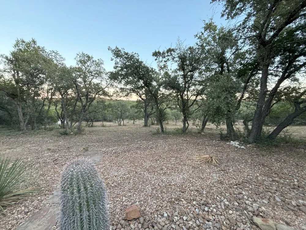 Affordable landscape design in San Antonio, TX - Hernandez Lawn Care