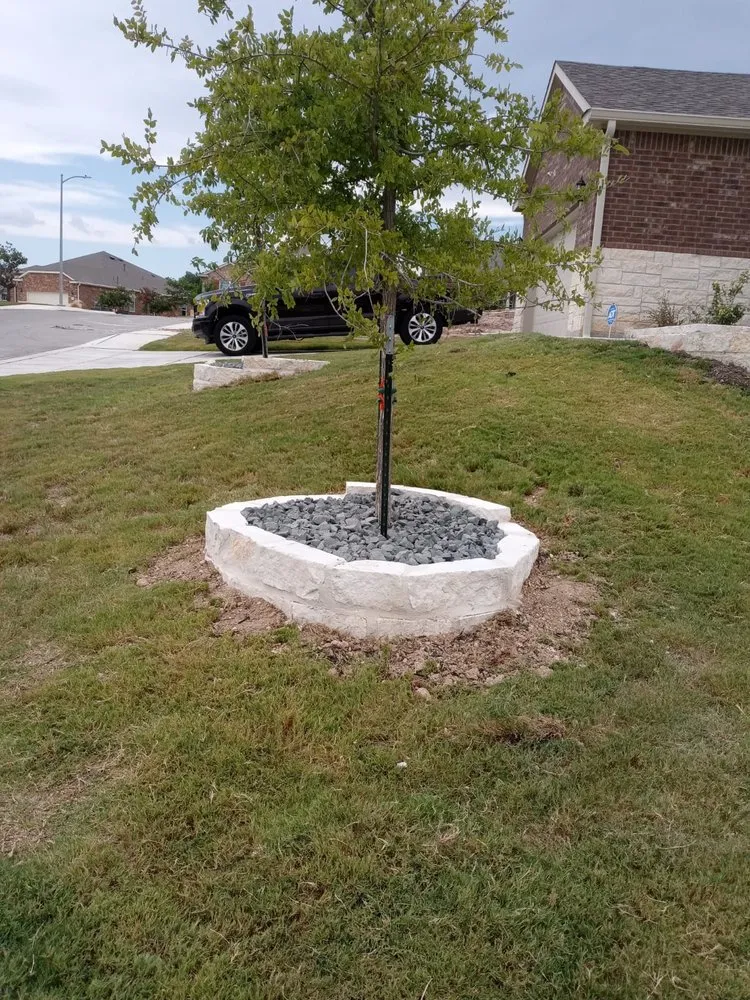 Expert yard cleanup service in San Antonio, TX by Hernandez Lawn Care