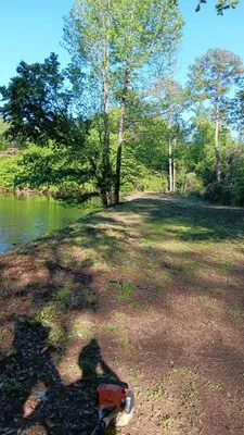Hernandez Lawn Maintenance