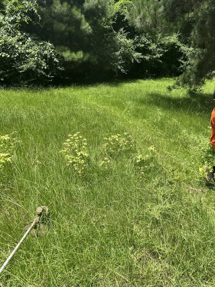 Top-rated landscaping services for residential properties in Texarkana, TX by Hernandez Lawn Mowing