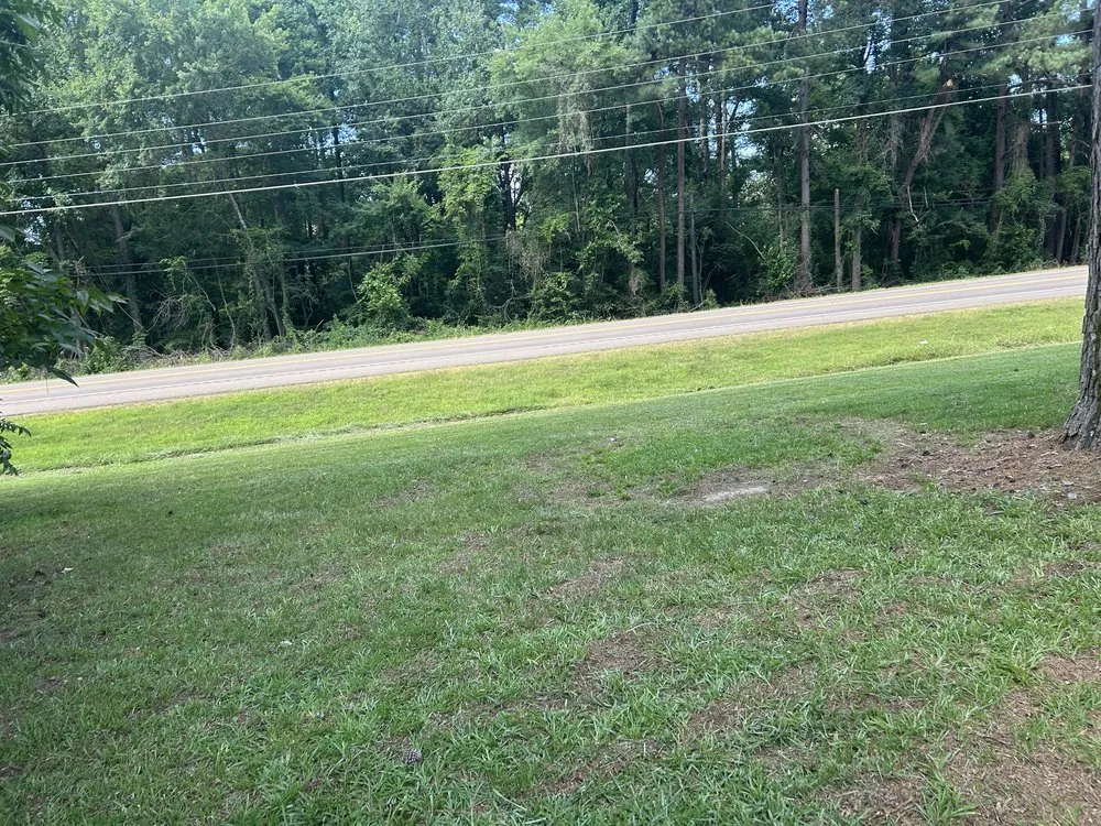 Affordable lawn mowing service for beautiful yards in Texarkana, TX by Hernandez Lawn Mowing