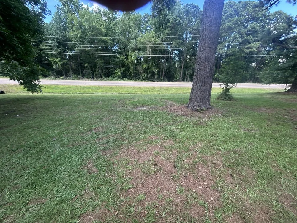 Trusted landscaping services in Texarkana, TX - Hernandez Lawn Mowing