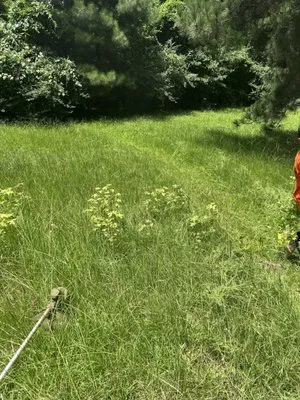 Hernandez Lawn Mowing Logo