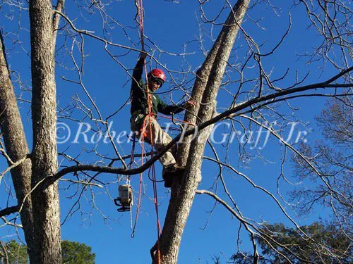 Professional yard cleanup service in Durham, NC - Hernandez Lawn Service