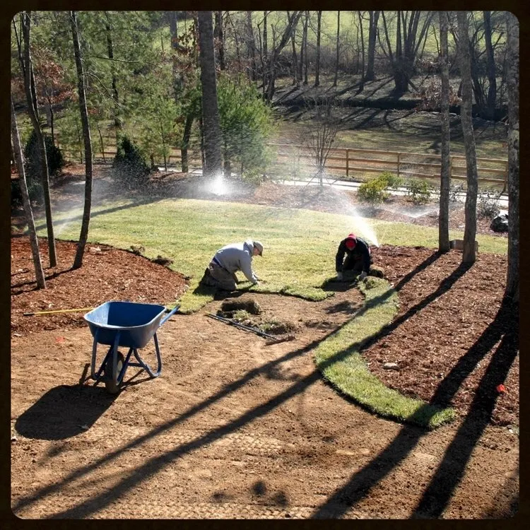 Top-rated yard maintenance near you in Durham, NC by Hernandez Lawn Service